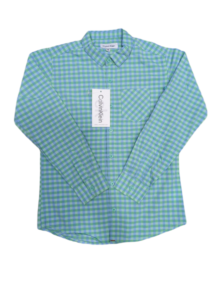 Casual full sleeve check shirt