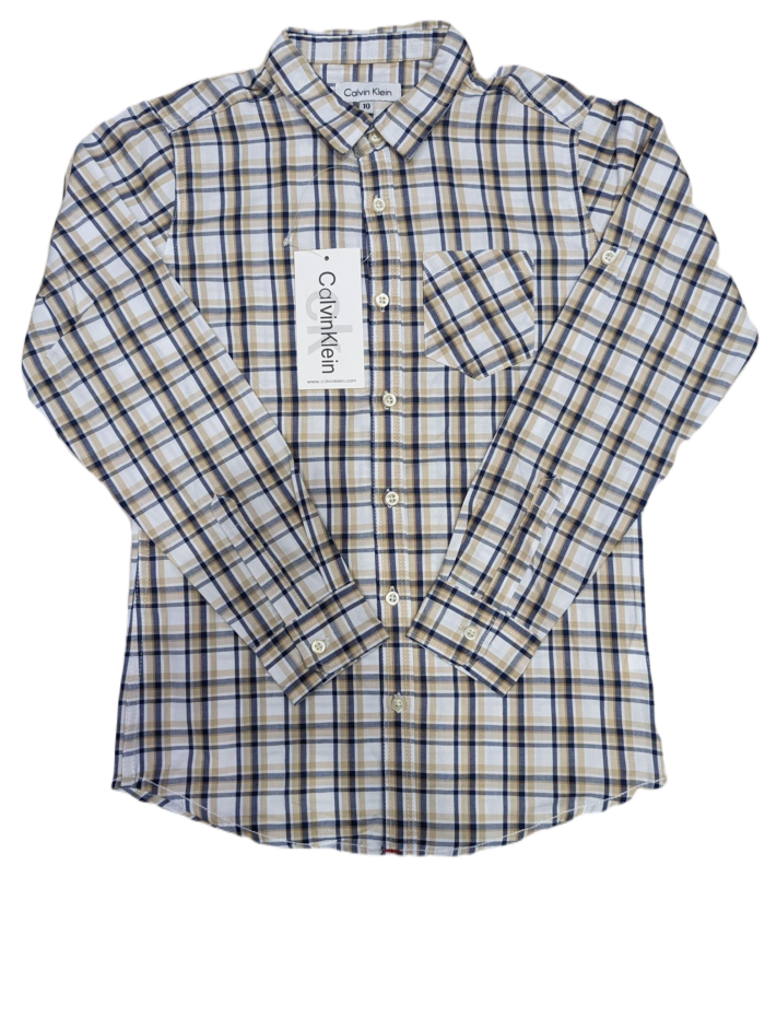 Casual full sleeve check shirt