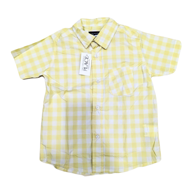 Casual full sleeve check shirt